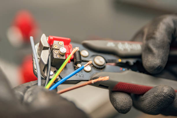 Best Electric Panel Repair  in Duenweg, MO